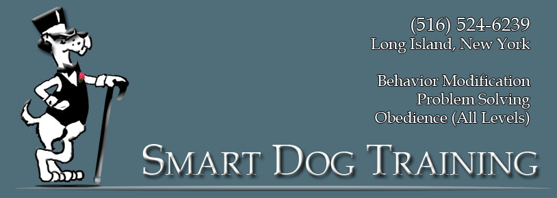 Smart Dog Training